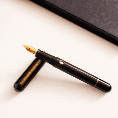 Narwhal Nautilus Bronze Corydoras Fountain Pen