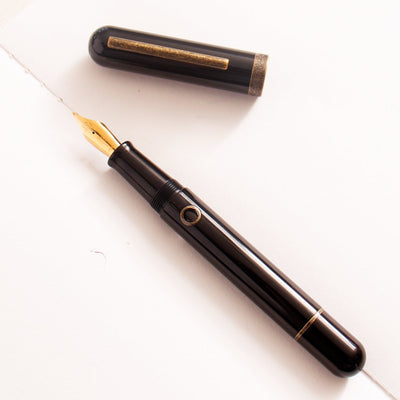 Narwhal Nautilus Bronze Corydoras Fountain Pen