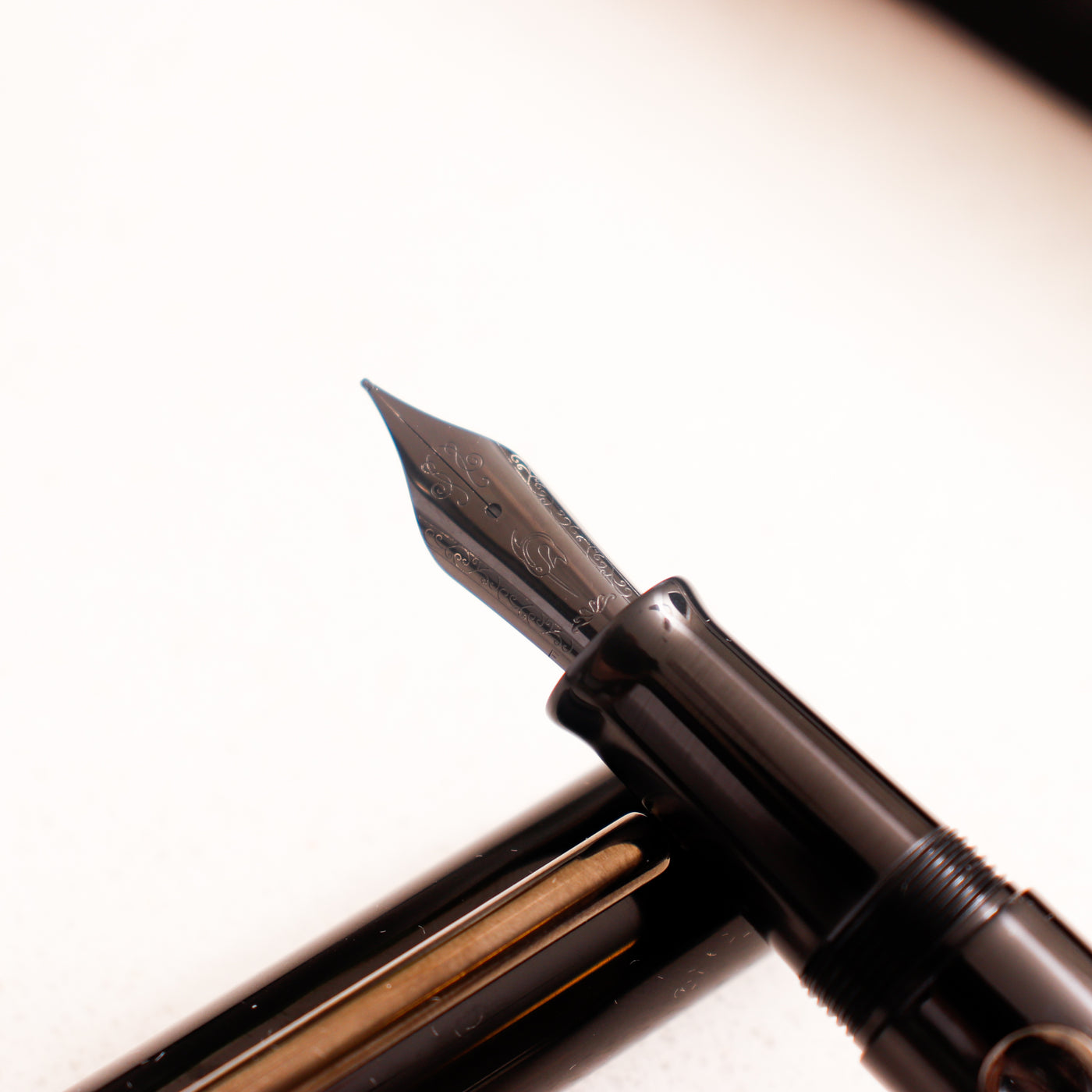 Narwhal Nautilus Cephalopod Black Fountain Pen