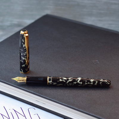 Parker Sonnet Moonbeam Fountain Pen