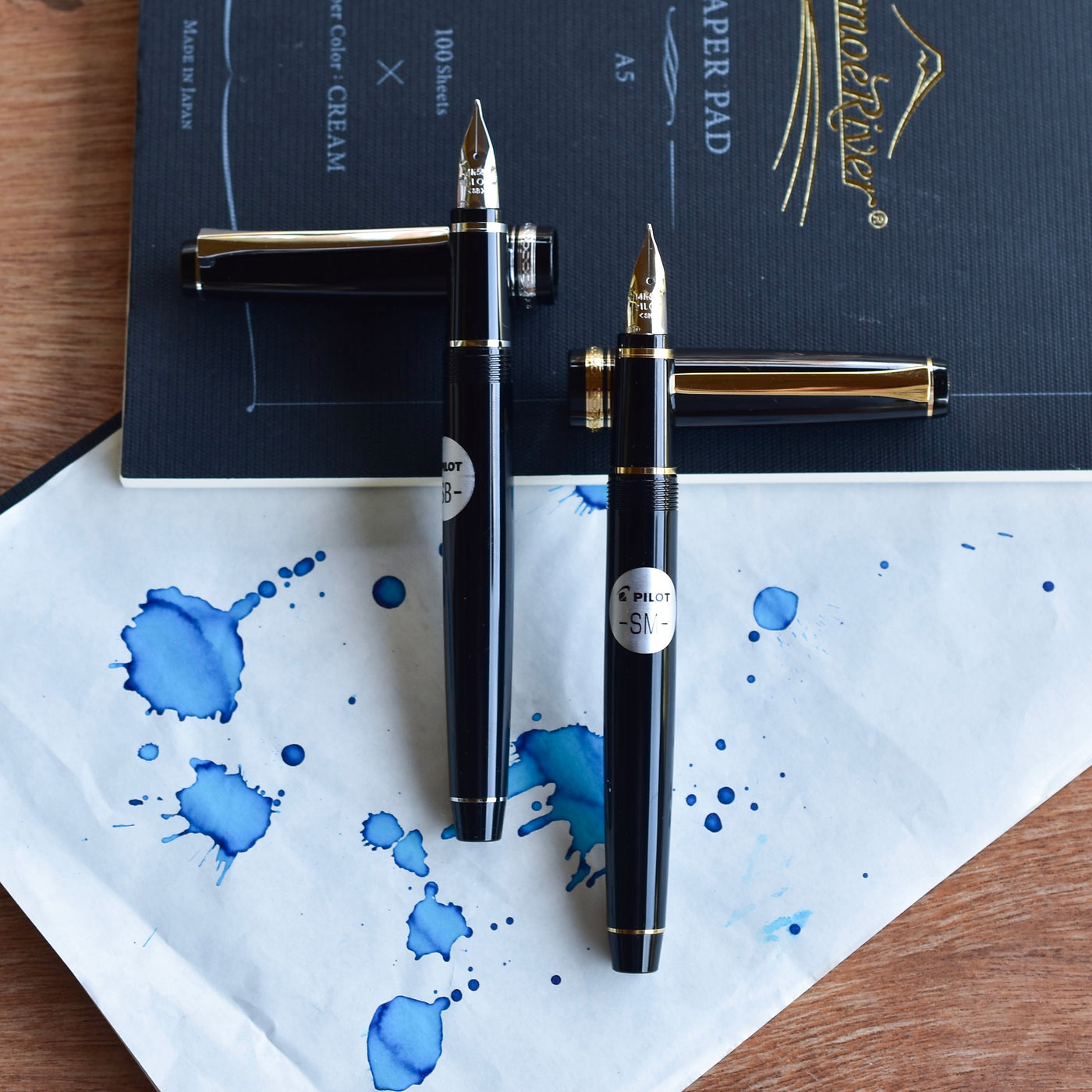 Pilot Falcon Fountain Pen - 14k gold soft nib