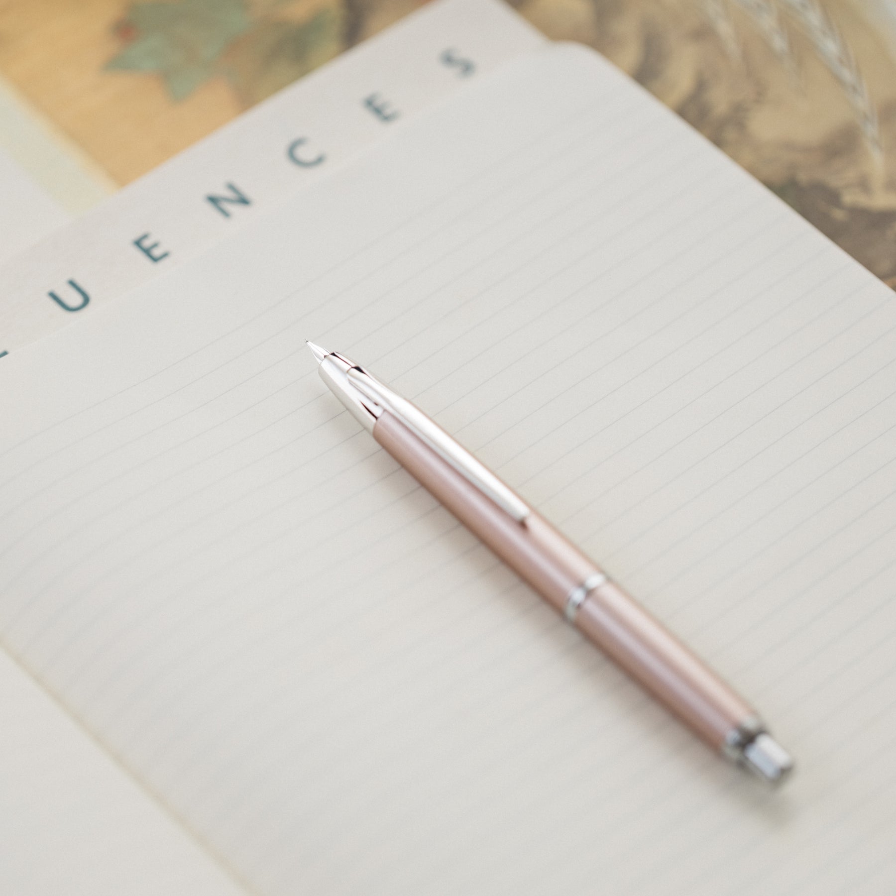 Pilot Fountain Pen Vanishing Point Decimo Retractable Champagne