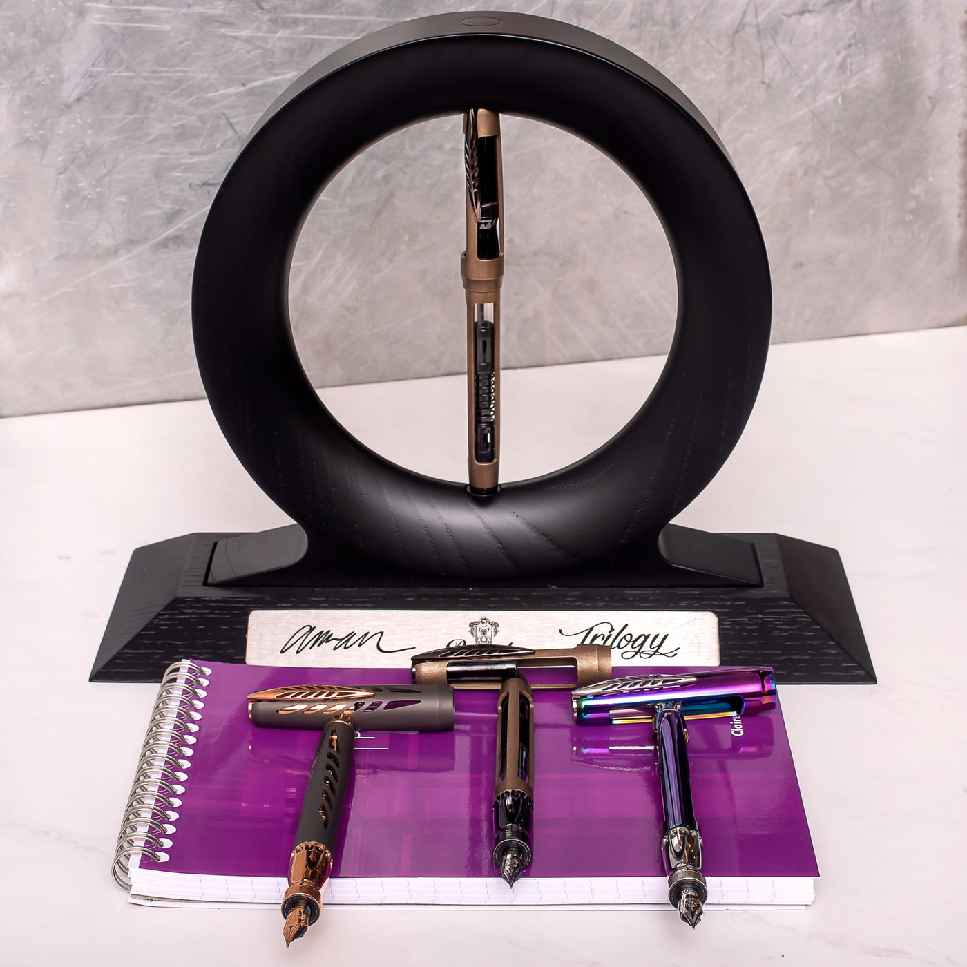 Pineider Homage to Arman Fountain Pen