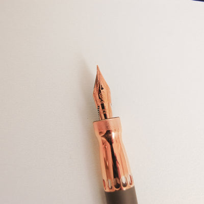 Pineider Homage to Arman Fountain Pen