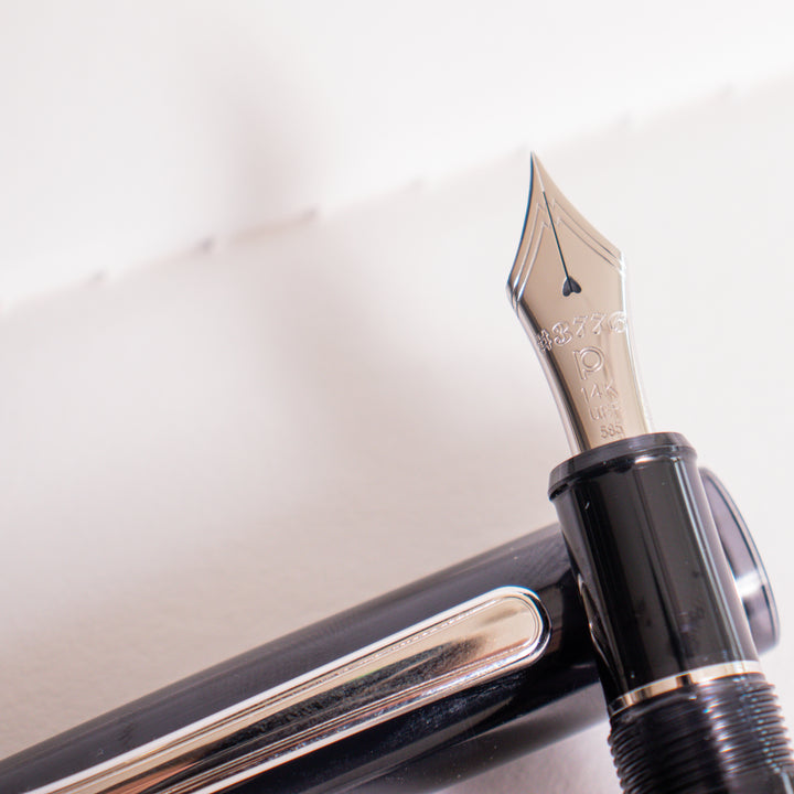 Platinum 3776 Century Fountain Pen - Black Diamond – Truphae