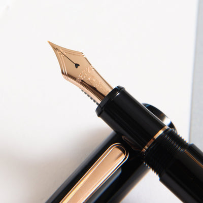 Platinum 14k Rose Gold Nib