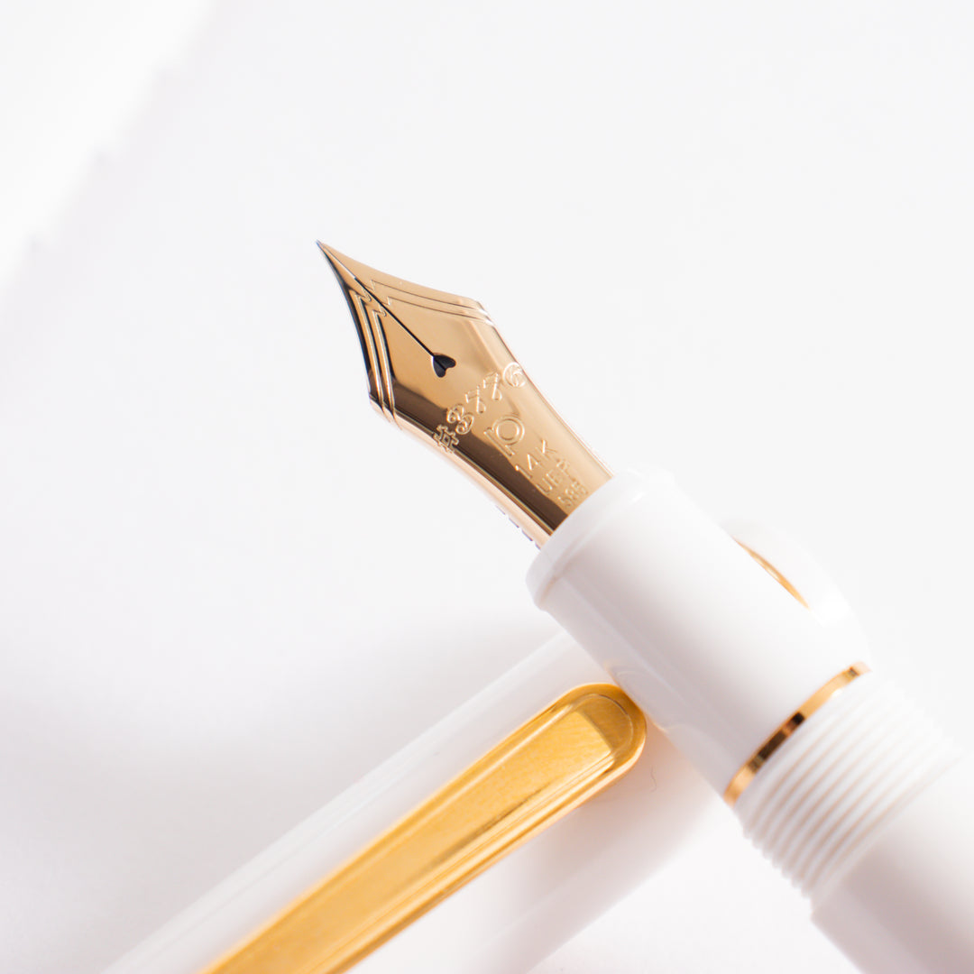 Platinum 3776 Century Fountain Pen Chenonceau White – Truphae