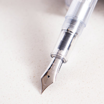 Platinum 3776 Century Nice Pur Fountain Pen