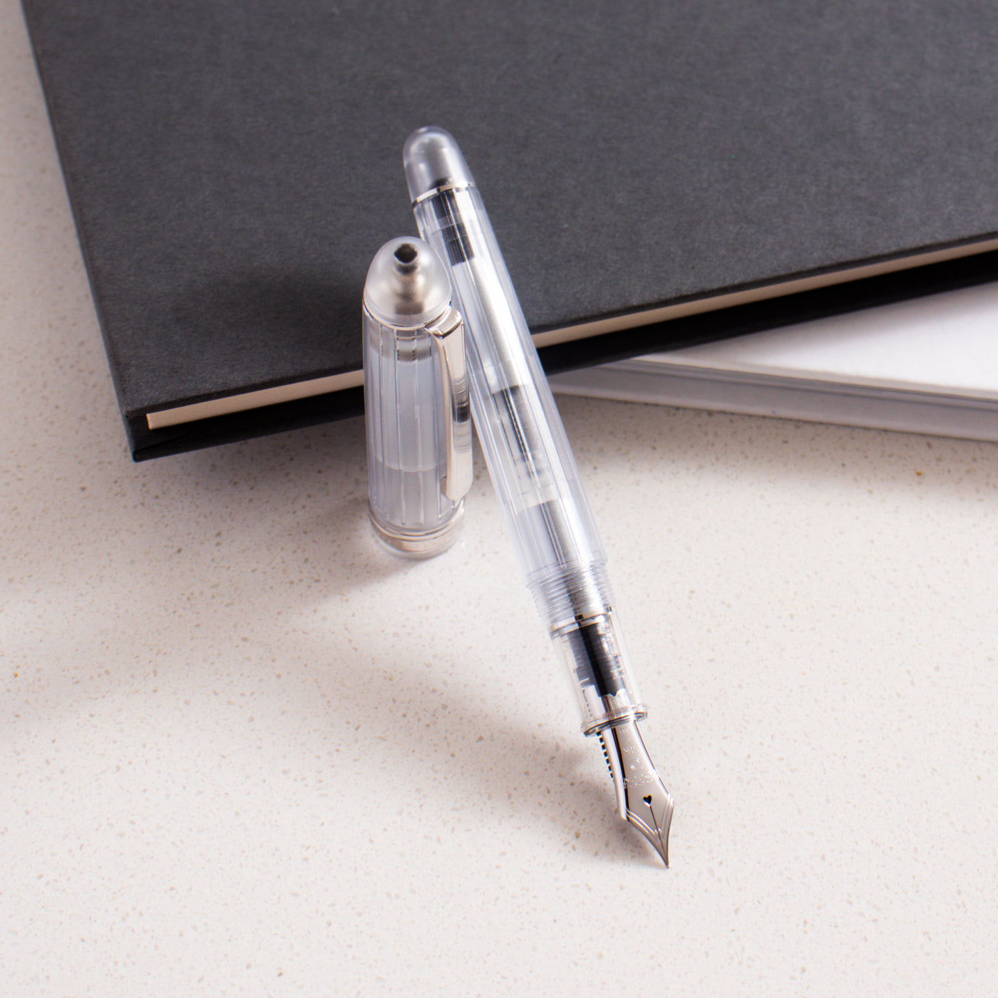 Platinum 3776 Century Nice Pur Fountain Pen