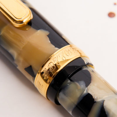 Platinum Century 3776 Calico Celluloid Fountain Pen Gold Trim Details