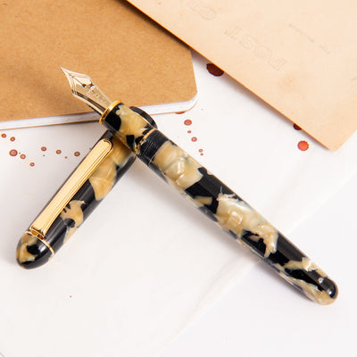 Platinum Century 3776 Calico Celluloid Fountain Pen