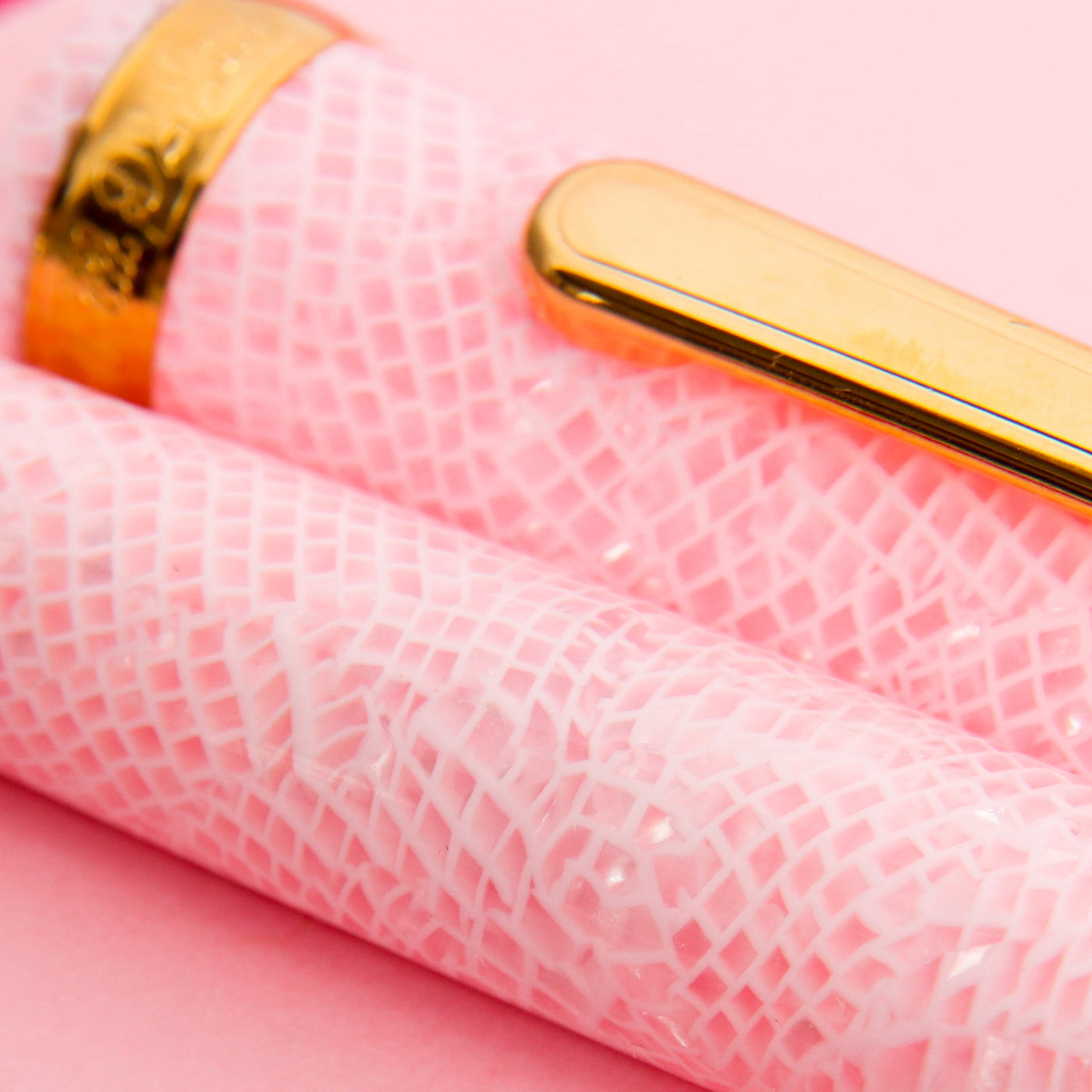 Platinum Century 3776 Cherry Blossom Celluloid Fountain Pen Pink Celluloid Details