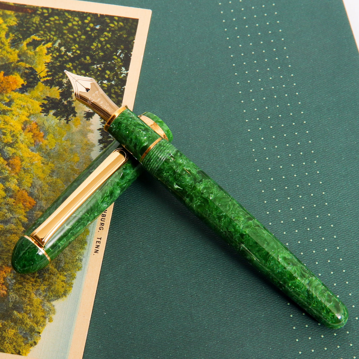 Platinum Century 3776 Jade Celluloid Fountain Pen