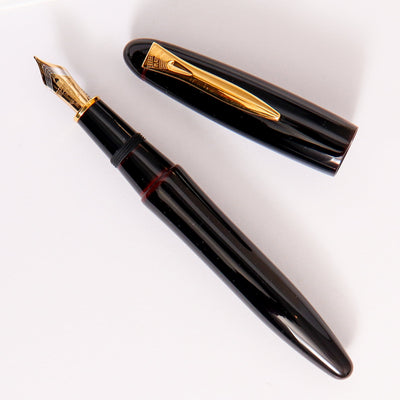 Platinum Izumo Akatame Fountain Pen With Gold Trim