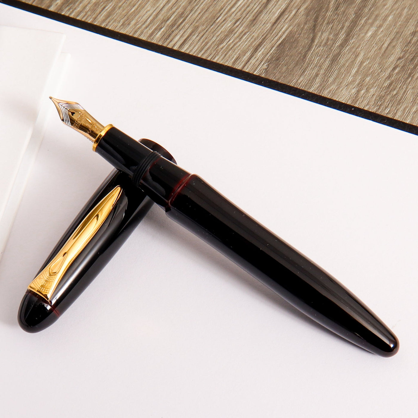 Platinum Izumo Akatame Fountain Pen