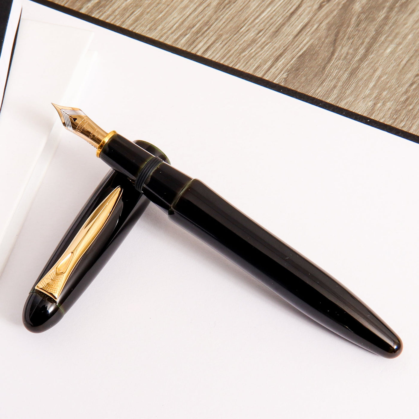 Platinum Izumo Biwatame Fountain Pen