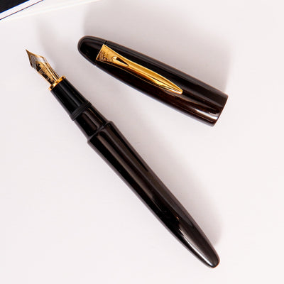 Platinum Izumo Bombay Black Wood Tagay Gloss Fountain Pen Brown Urushi Lacquer