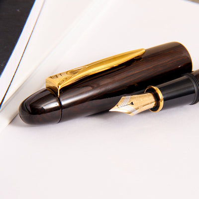 Platinum Izumo Bombay Black Wood Tagay Gloss Fountain Pen Grain