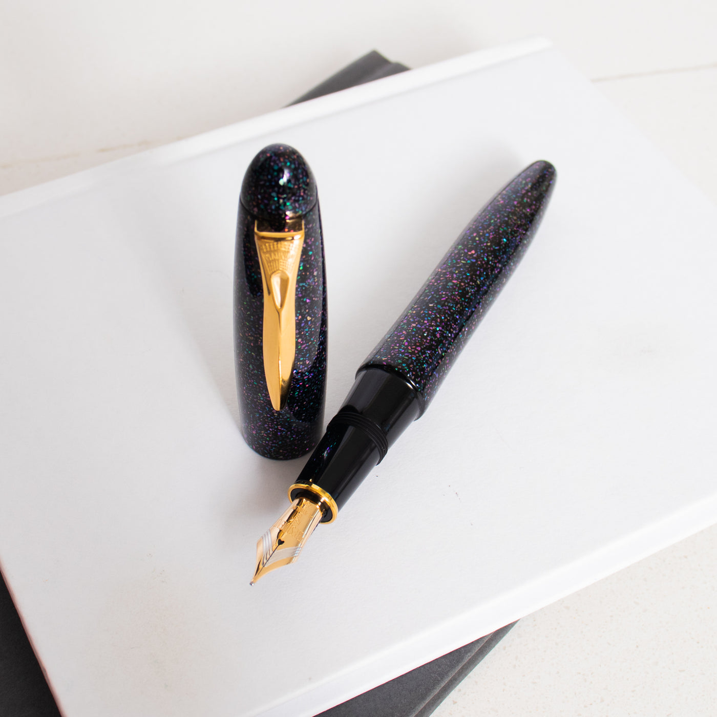 Platinum Izumo Raden Galaxy Fountain Pen