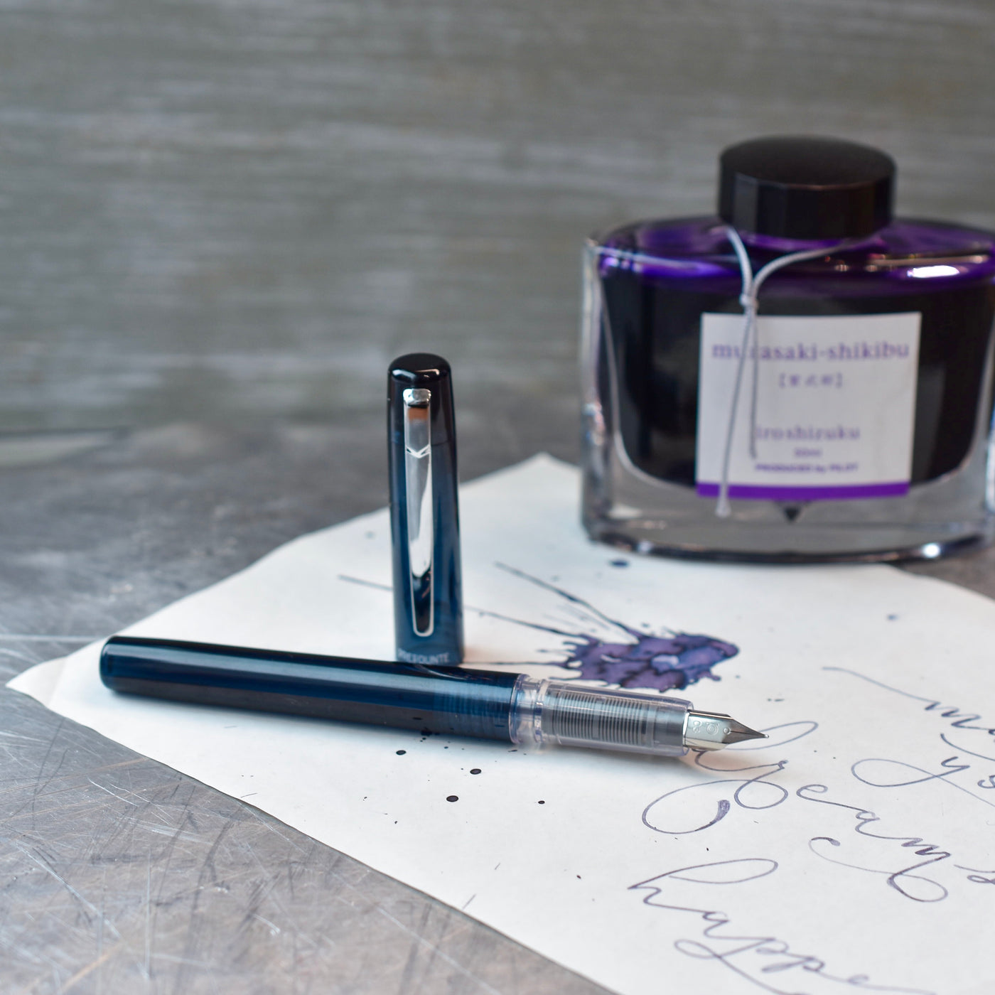 Platinum Prefounte Fountain Pen