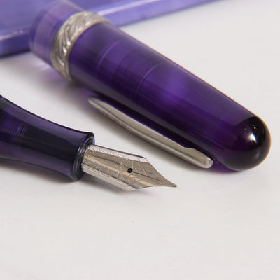 Stipula Etruria Rainbow Transparent Purple Fountain Pen Nib Details