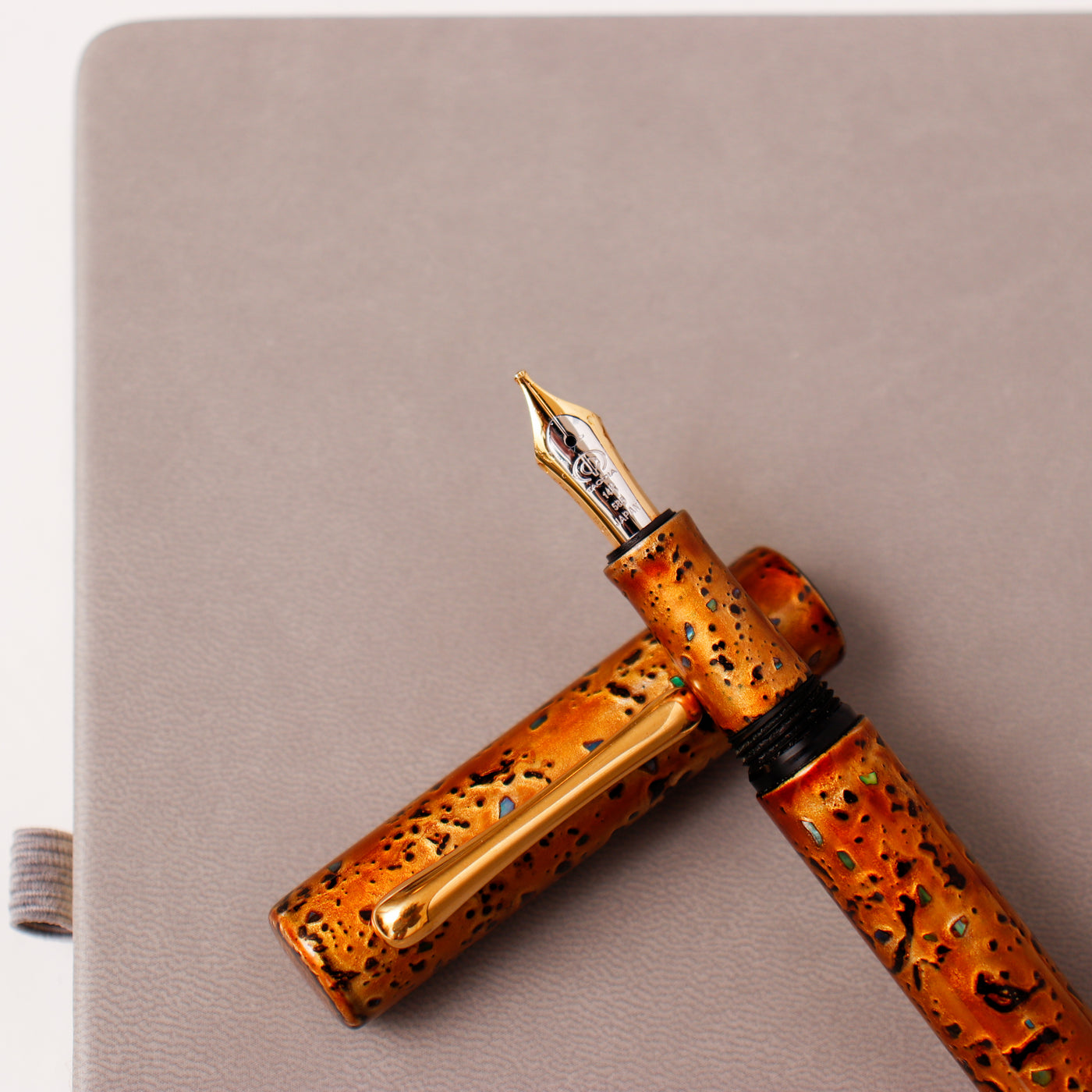 Taccia Raden Reserve Autumn Rustle Fountain Pen