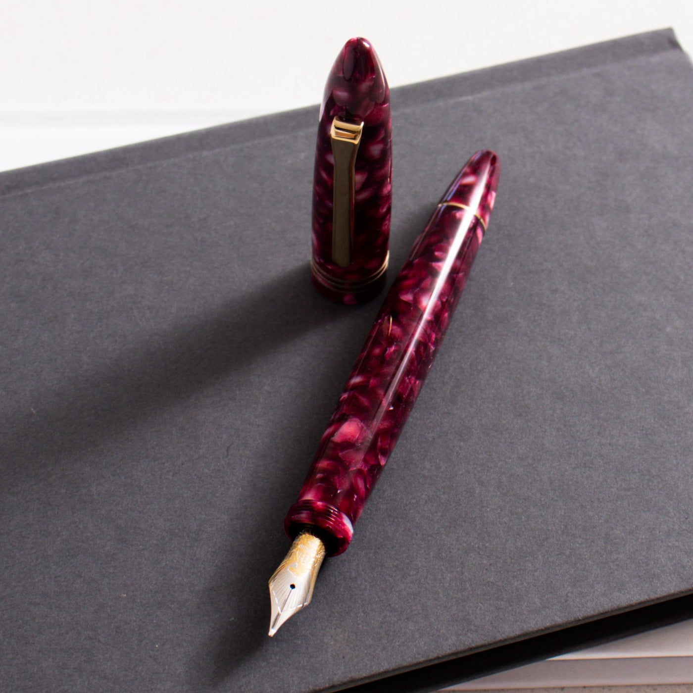 Tibaldi Bononia Pomegranate Fountain Pen