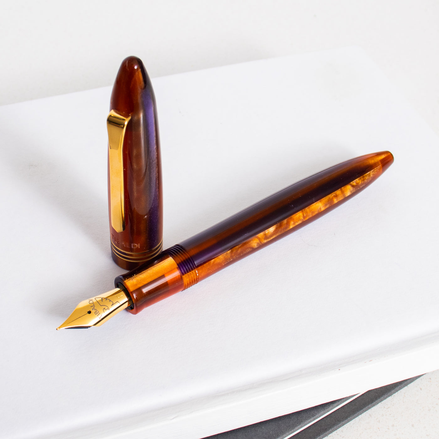 Tibaldi Bononia Seilan Purple Fountain Pen