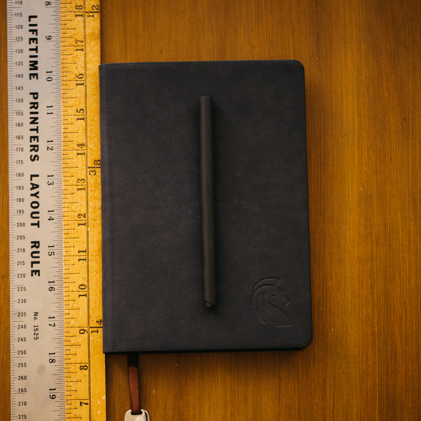 Venvstas Carbon-T Fountain Pen
