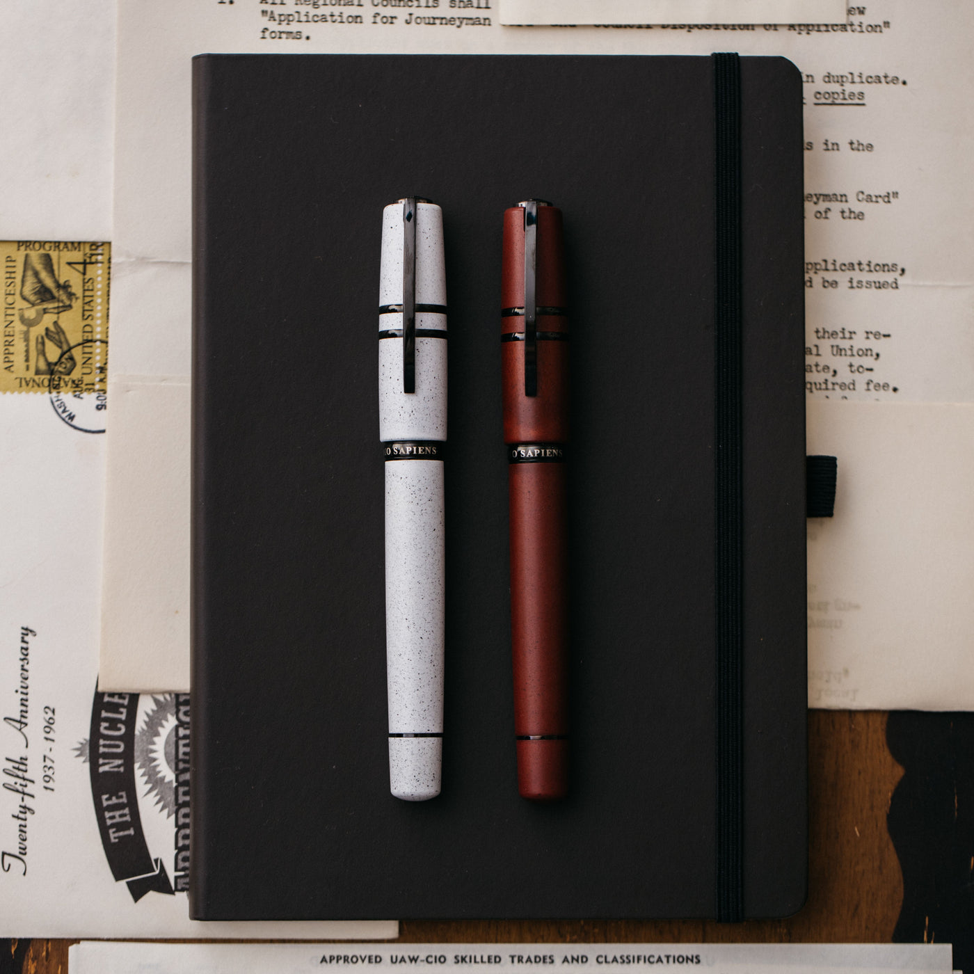 Visconti Homo Sapiens Color Fountain Pen