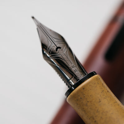 Visconti Homo Sapiens Color Fountain Pen