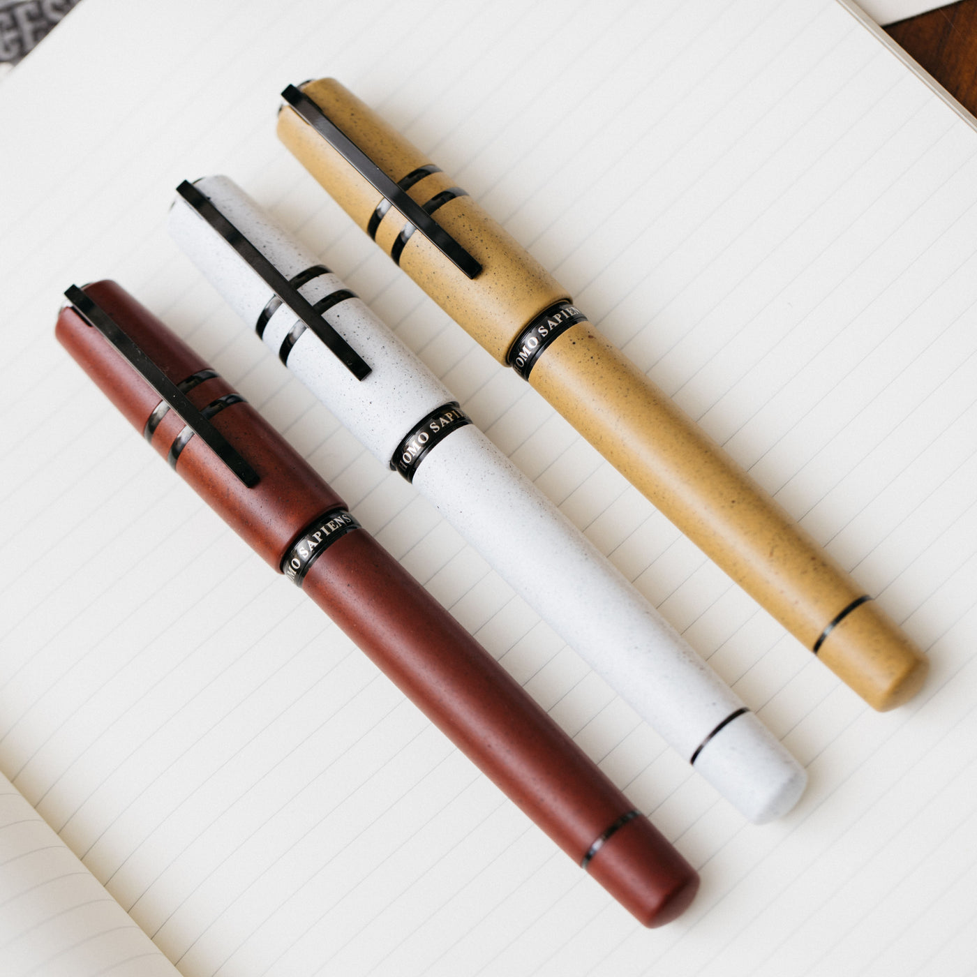 Visconti Homo Sapiens Color Fountain Pen