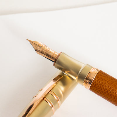 Visconti Homo Sapiens Dual Touch Cognac Fountain Pen