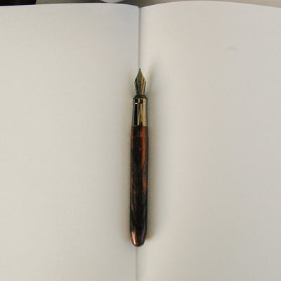Visconti Movements Renaissance Art Fountain Pen