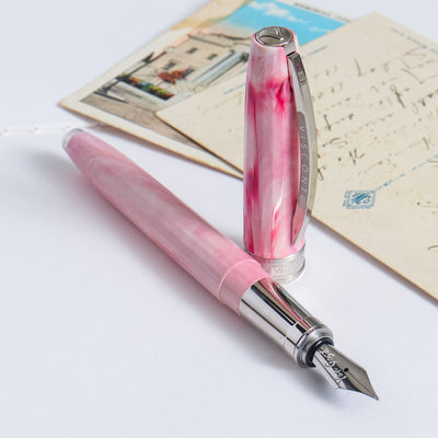 Visconti Van Gogh Souvenir de Mauve Fountain Pen