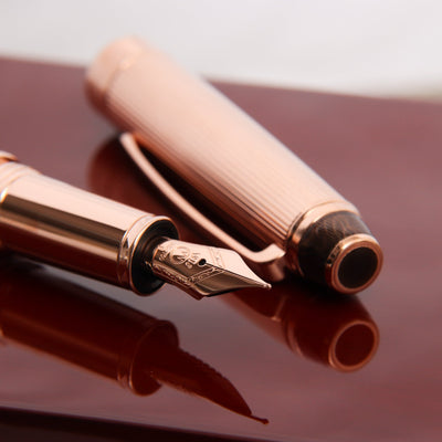 Waldmann 105th Anniversary Jubilee Limited Edition Fountain Pen Nib Details